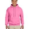Azalea Hoodie