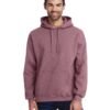 Ht Sp Drk Maroon Hoodie