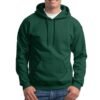 Forest Hoodie